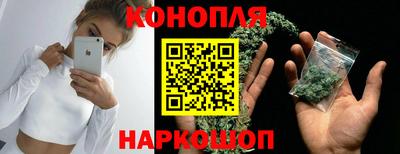 индика Пушкино