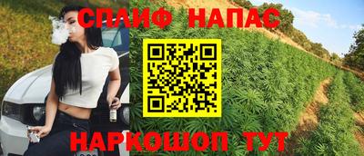 крисы Пугачёв