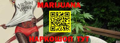 индика Пушкино