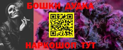 индика Пушкино