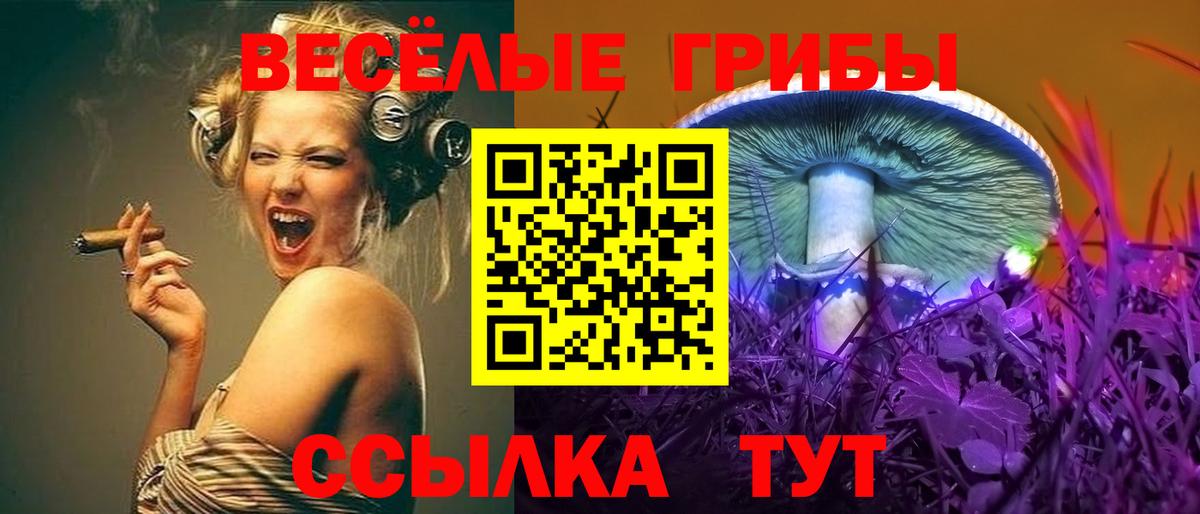 Галлюциногенные грибы ЛСД  Галлюциногенные грибы GOLDEN TEACHER  Анжеро-Судженск  Вход с VPN 